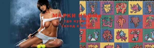 индика Алексеевка