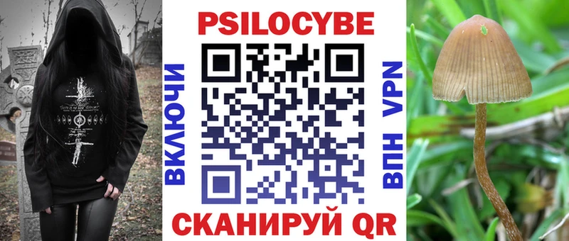 где купить Краснознаменск Псилоцибиновые грибы мицелий