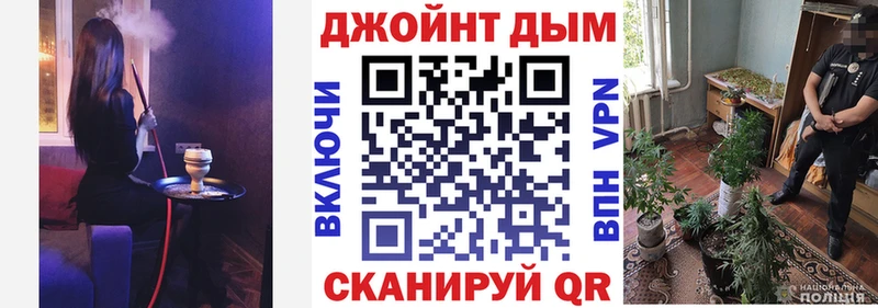 цены наркотик  Краснознаменск  Конопля планчик 